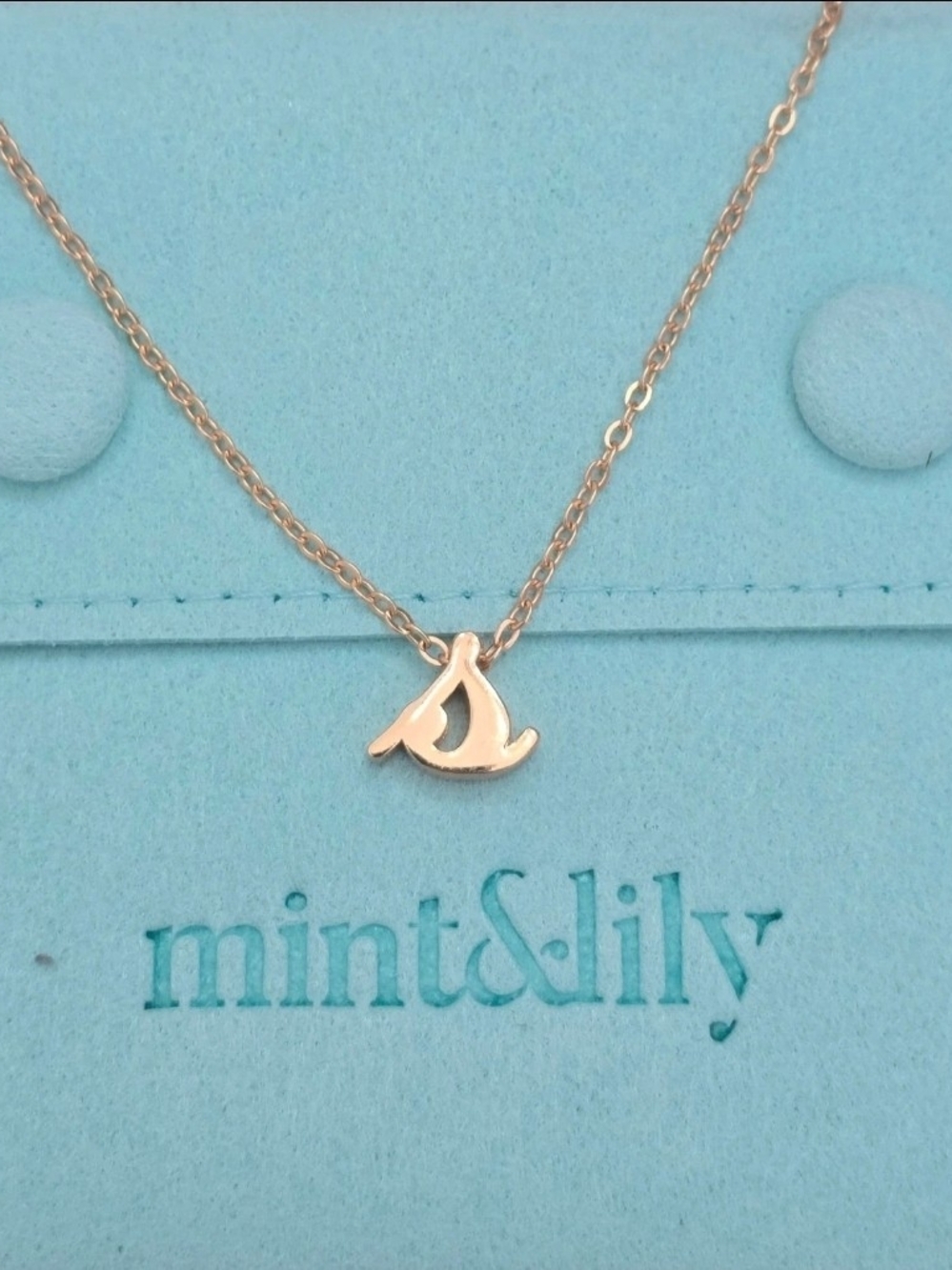 Mint And Lily Tiny Script "s" Initial Necklace 14k Plated Pvd N61